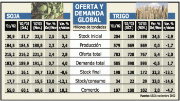 CAYÓ HASTA 5% EL TRIGO POR CHINA