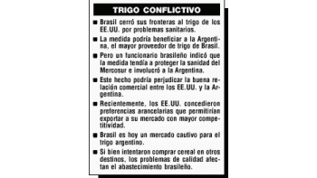 BRASIL, OBLIGADO A COMPRAR MÁS TRIGO A LA ARGENTINA