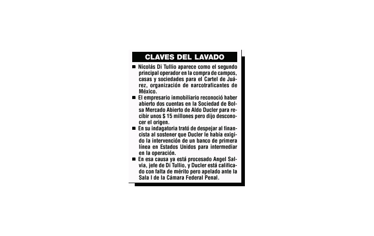 ámbito.com | Lavado: Di Tullio dio detalles del negocio