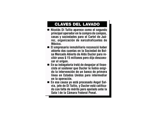 Lavado: Di Tullio dio detalles del negocio
