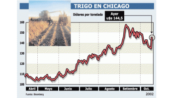 ámbito.com | Suba récord para el trigo en el mundo: trepó ayer hasta 8%