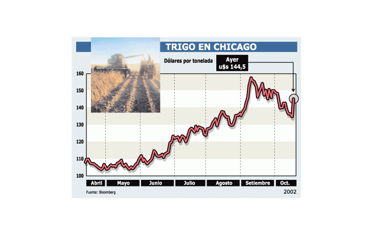 SUBA RÉCORD PARA EL TRIGO EN EL MUNDO: TREPÓ AYER HASTA 8%