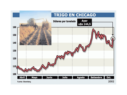 Suba récord para el trigo en el mundo: trepó ayer hasta 8%
