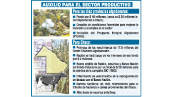 PLAN REACTIVANTE PARA ALGODONEROS
