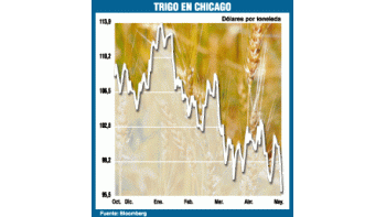 ámbito.com | Malo para el país: el trigo cayó casi 3% ayer
