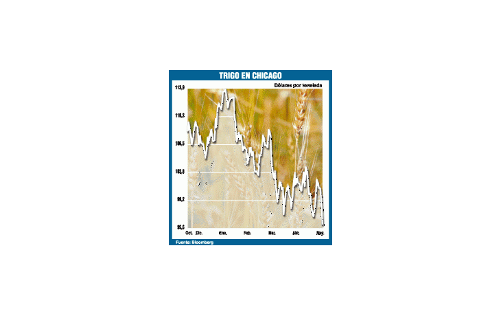EL TRIGO CAYÓ 3%