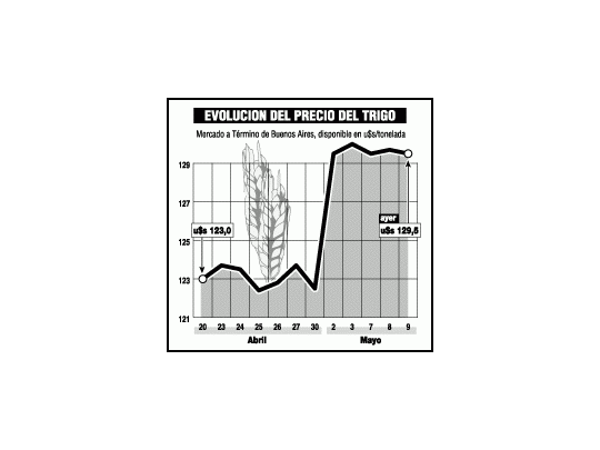 Buen negocio: el trigo ya hizo ganar 13% en 5 meses