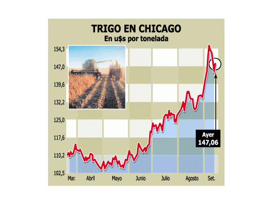 Bueno: vuelven a subir los granos