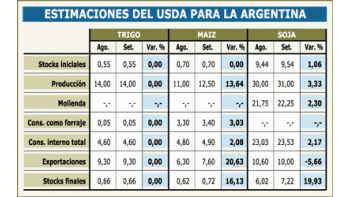 SUBE EL TRIGO TRAS INFORME DE EEUU