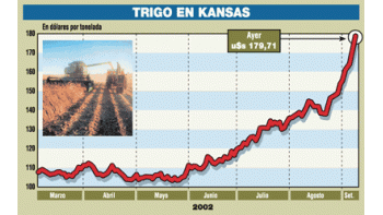 GANA U$S 500 MILLONES EL PAÍS POR LA FUERTE SUBA DEL TRIGO