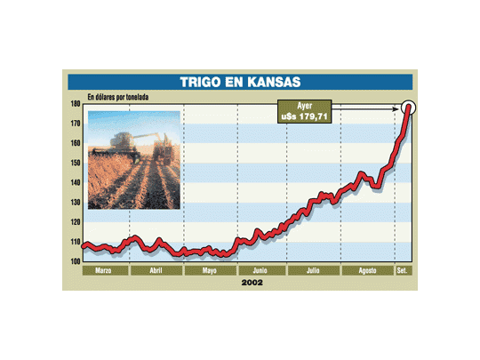 Bueno: gana el país u$s 500 millones por el aumento del trigo