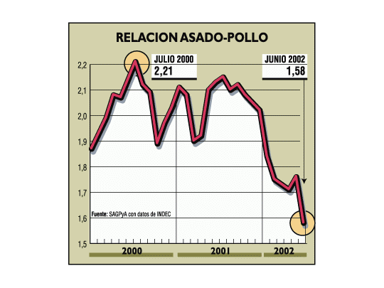 Cayó 30% consumo de pollo en la Argentina