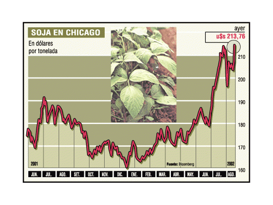 Bueno para el país: los granos subieron hasta 5% en EE.UU.
