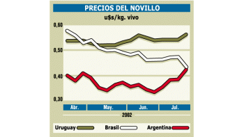 ámbito.com | Peligran en la Argentina exportaciones de carne