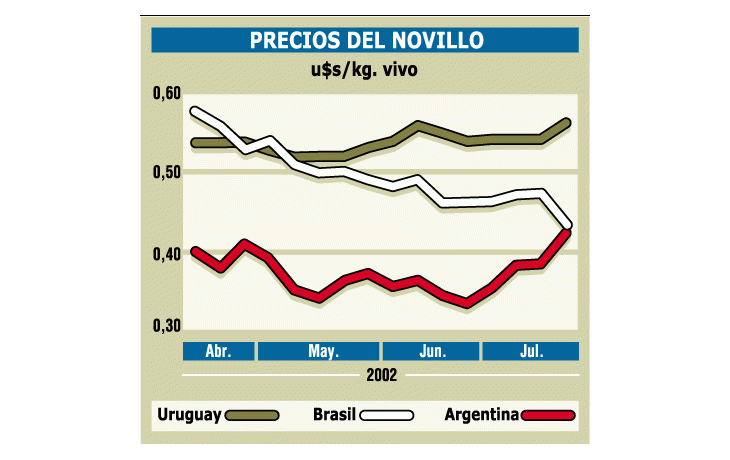 PELIGRAN EN LA ARGENTINA EXPORTACIONES DE CARNE
