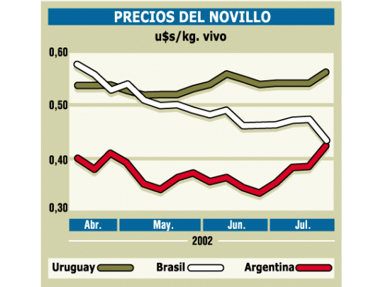 Peligran en la Argentina exportaciones de carne