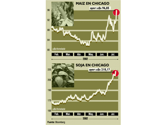 Granos aumentan 5% (30% en tres meses)