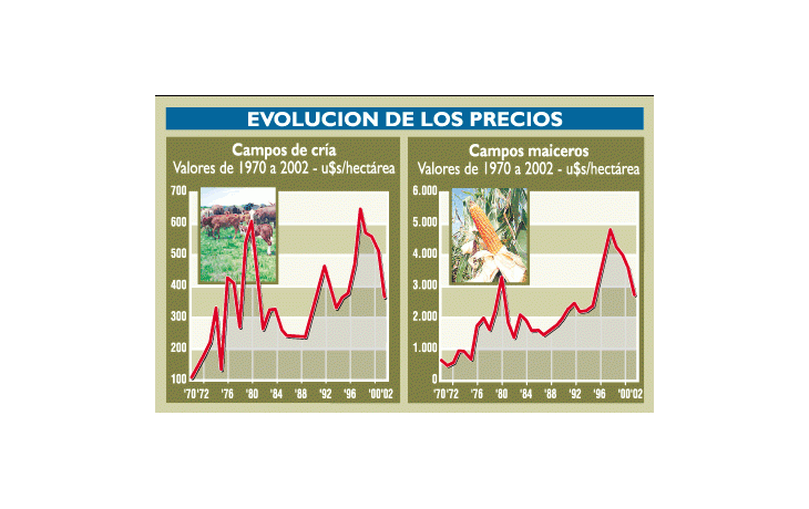 ámbito.com | Opción para invertir: los precios de campos caen 40% en dólares