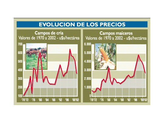 Opción para invertir: los precios de campos caen 40% en dólares