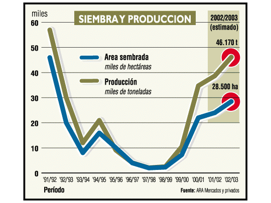 La producción de colza aumentará 20 por ciento