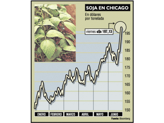 Bueno para el país: subió 10% la soja