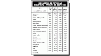 AUTOS, EL SECTOR QUE MÁS CAYÓ EN ENERO