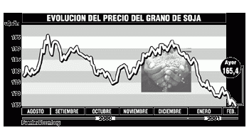 PÉRDIDAS DE LA SOJA