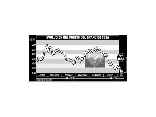 Se pierden $ 200 millones por el descenso en la soja
