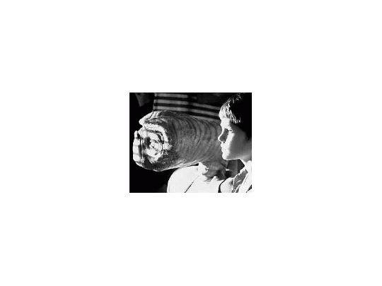 Escena del film