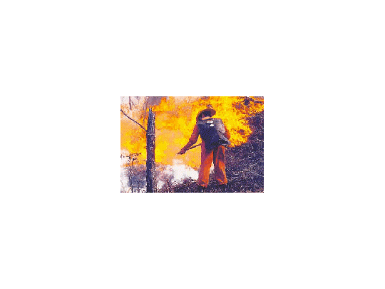 El verano vino con nuevos incendios en el sur