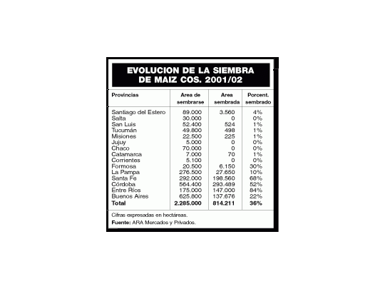 Estiman una reducción de 30% para el área maicera
