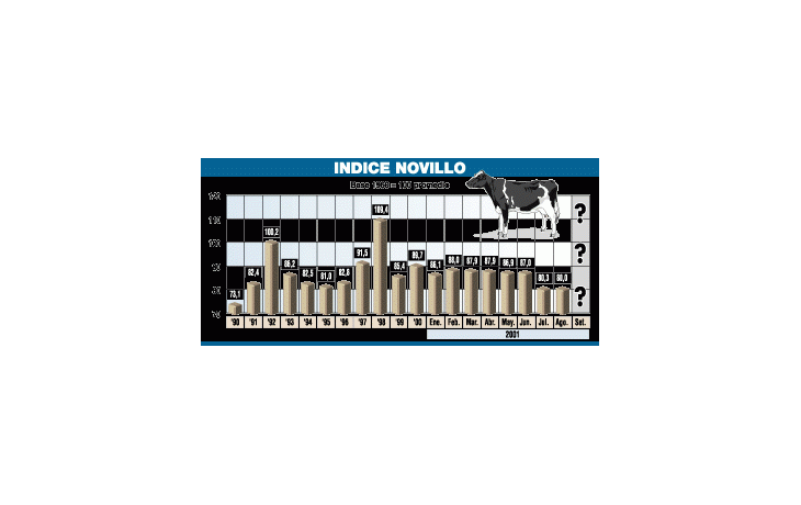 ámbito.com | Por la recesión la carne ya cayó otro 5% este mes