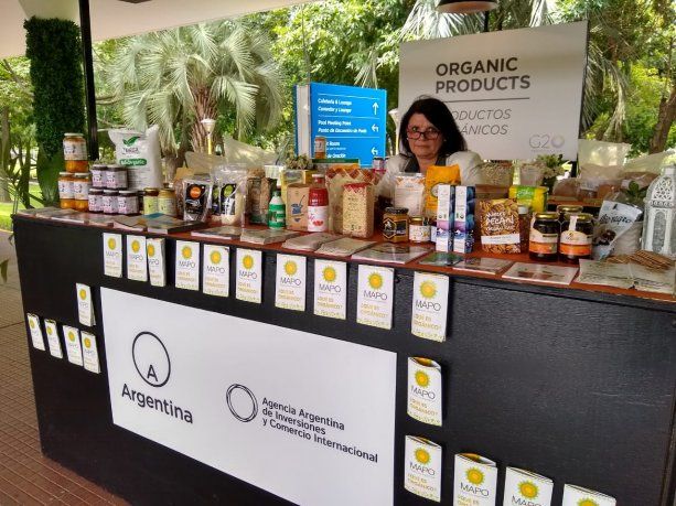 Alicia Santaya, miembro de la Comisión Directiva de MAPO.