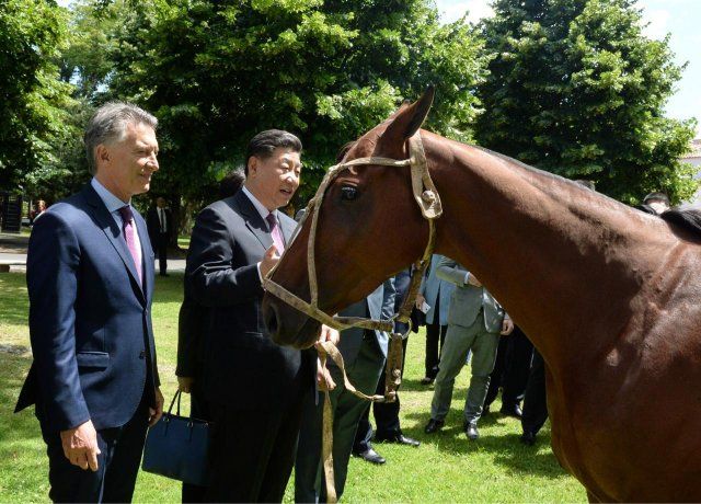 Mauricio Macri y Xi Jinping junto al caballo que Argentina le obsequiÃ³ a China.