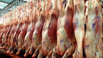 Las exportaciones de carne vacuna crecieron mÃ¡s de 80% en 2018