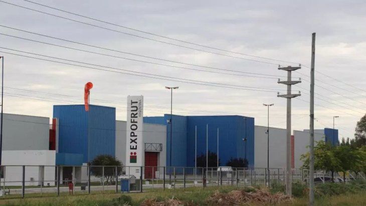 Expofrut deja de exportar y se concentra el negocio frutícola