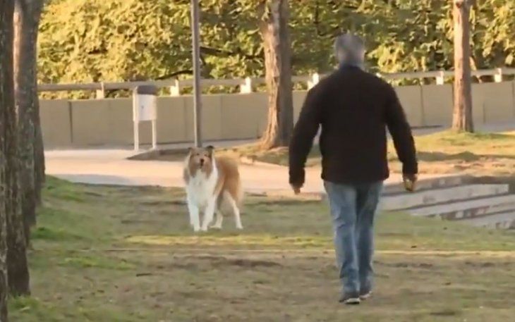 El precandidato a presidente del frente de Todos, Alferto Fernández, junto a su perro Dylan.