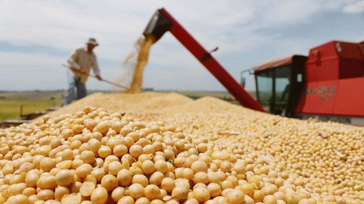 Dudas. Los productores retienen la soja por la incertidumbre política.