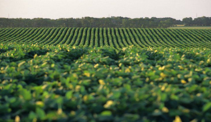 Los productores del campo aseguraron tras el encuentro que,