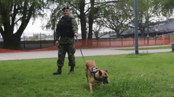 <p>Los espacios verdes de los alrededores de la Facultad de Derecho, fueron custodiados hasta por perros policías. </p>
