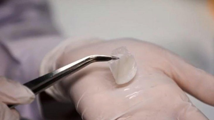 La piel se puede usar para evaluar la toxicidad o el potencial de irritación de una sustancia y las cualidades penetrantes de los ingredientes activos en productos como los cosméticos.