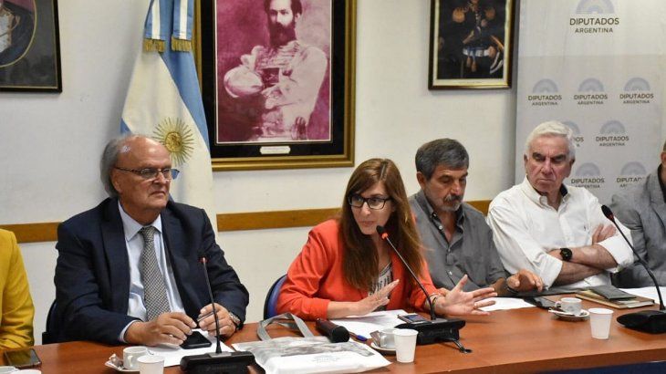De izq. a der.: José Ignacio de Mendiguren, Daniela Castro, Roberto Salvarezza y Enrique Martínez.