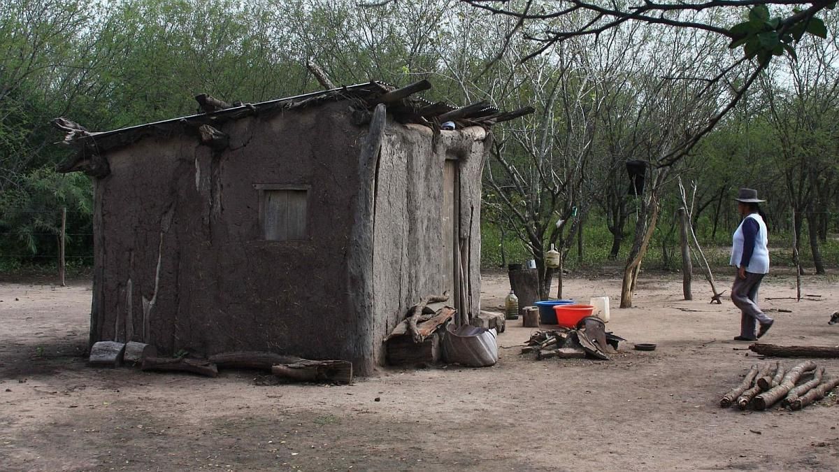 Los wichis sobreviven en medio de la pobreza y el abandono extremo 