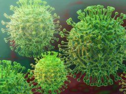 Coronavirus en Argentina: nuevo caso sospechoso en Mendoza.