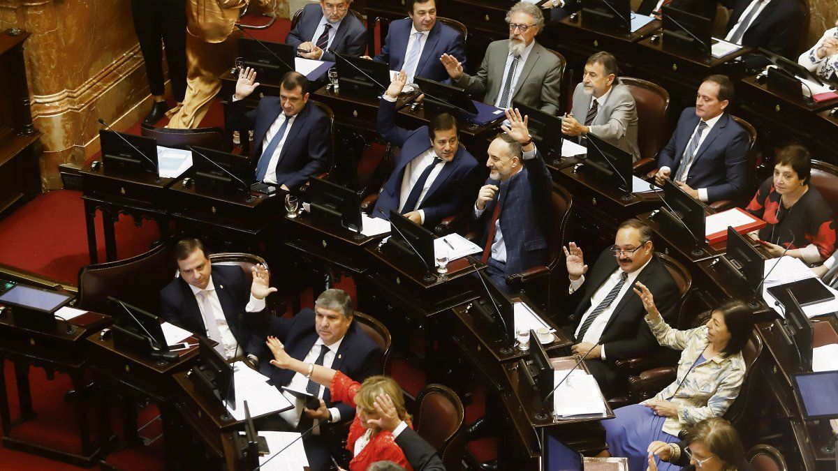 El Senado donará el monto de los pasajes de los legisladores a la lucha contra el coronavirus
