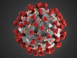 cronologia del coronavirus en argentina: una pandemia que se expande