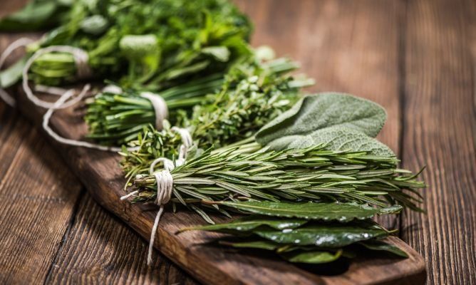 La albahaca, el romero, el laurel o la menta pueden convertirse en un auténtico repelente.