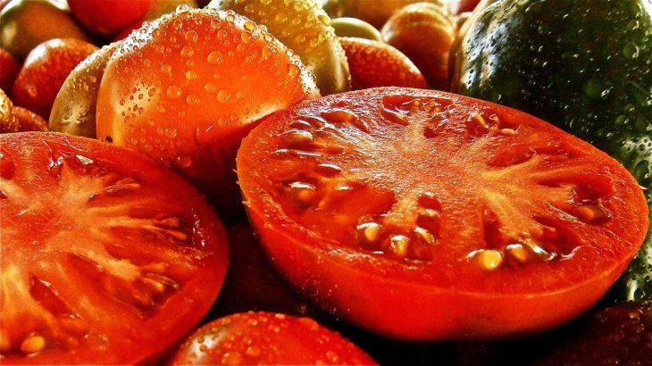 Los tomates tienen un crecimiento vertical por lo que necesitan tutores.