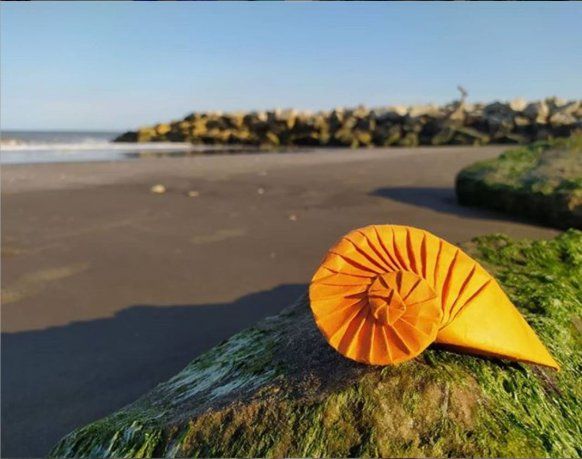 Nahuel Murakoshi usaba su Instagram para compartir sus creaciones de origami, pero en medio de la pandemia cambió su rumbo para darle un rol más solidario.