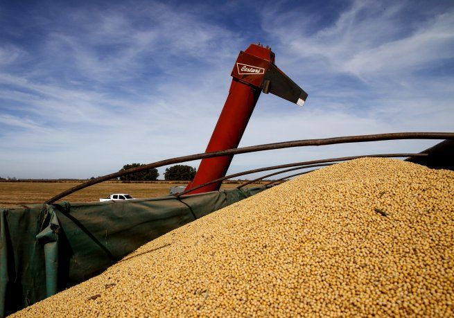 El productor cosecha la soja, y la utiliza como unidad de cuenta, es una moneda más en el campo. Los alquileres se fijan y se pagan en soja.